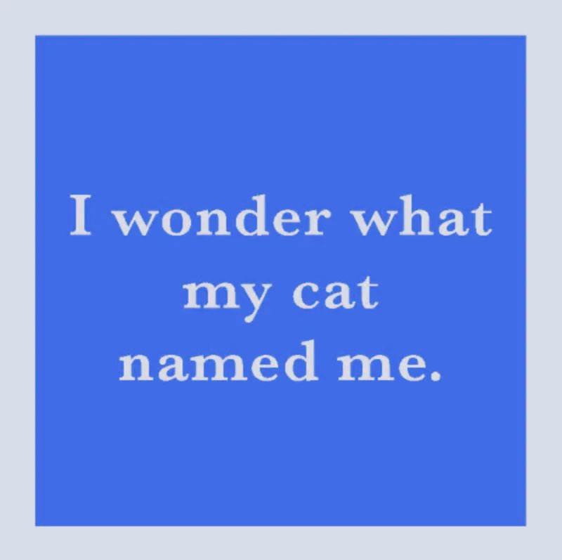 Coaster Drinks on Me (Cat named me)