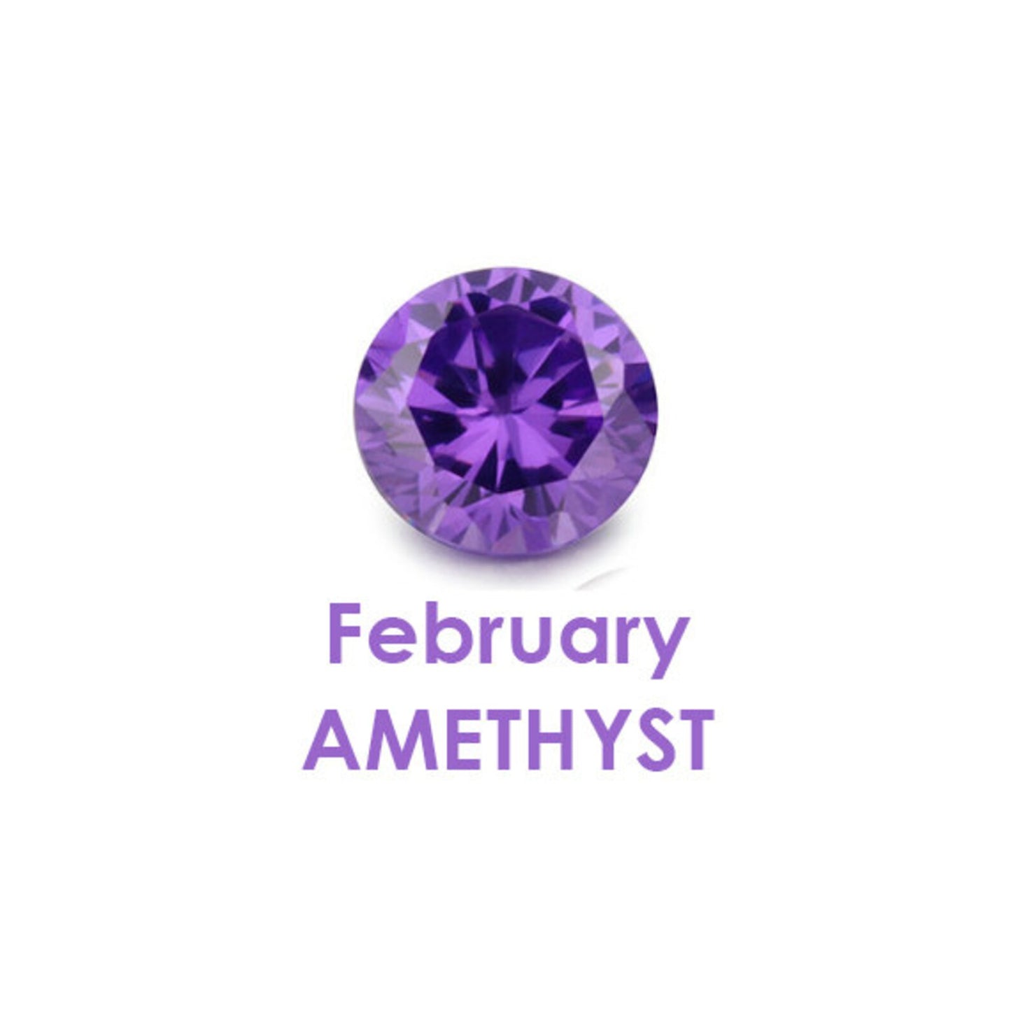 Birthstone Charms (February)