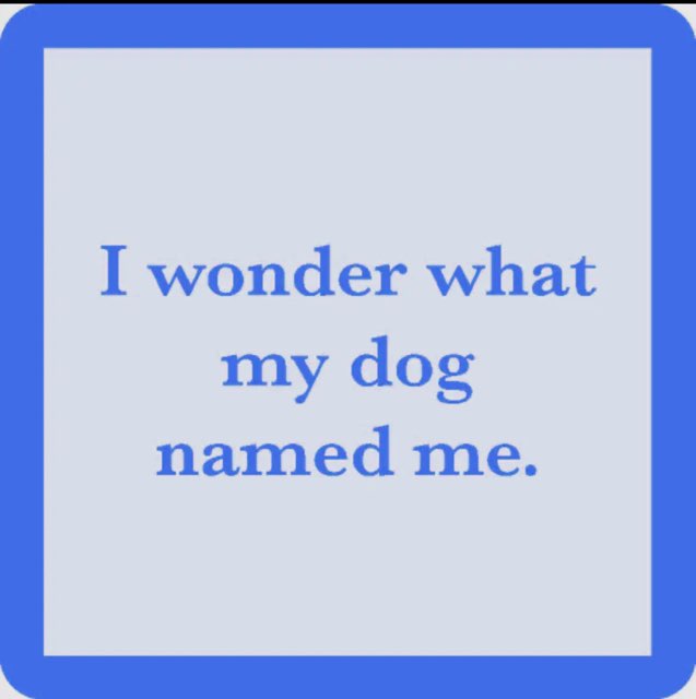 Coaster Drinks on Me (Dog named me)