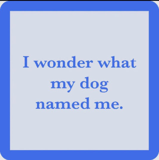 Coaster Drinks on Me (Dog named me)