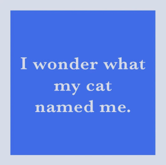Coaster Drinks on Me (Cat named me)
